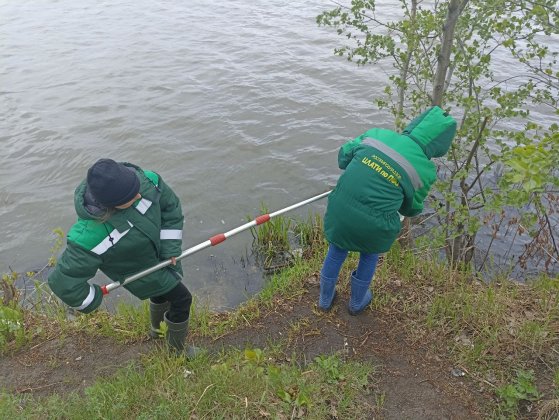 Выездное обследование канализационного колодца в городе Ульяновск