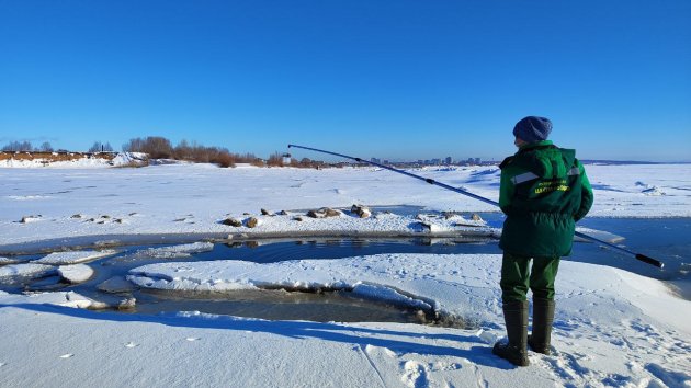 Выездное обследование побережья реки Волга