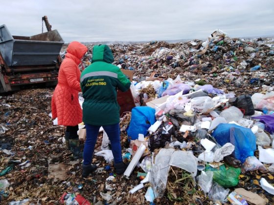 Выезд на место и отбор проб твердых коммунальных отходов с тела полигона на определение класса опасности отходов на окружающую среду