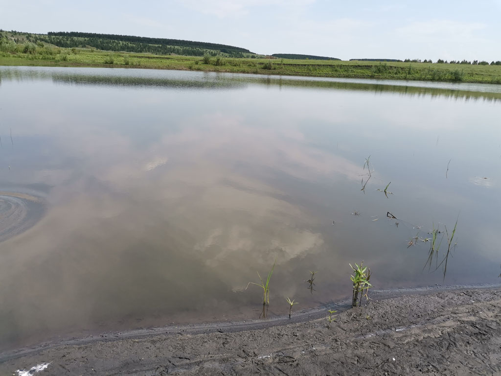 Погода головино ульяновская область николаевский