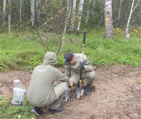 Выездное обследование земельного участка в Илишевском районе Республики Башкортостан