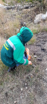 Выезд и отбор проб почв на земельном участке с визуальными признаками загрязнения нефтепродуктами