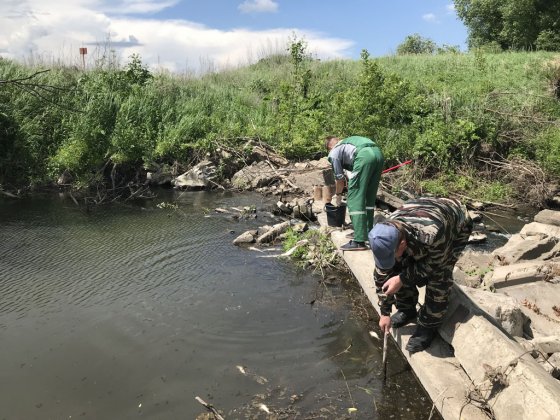 Выезд на место обследования акватории водного объекта р. Аморда