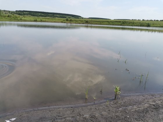 Выезд в Николаевский район Ульяновской области и отобраны пробы воды и почвы в рамках производственного экоаналитического контроля