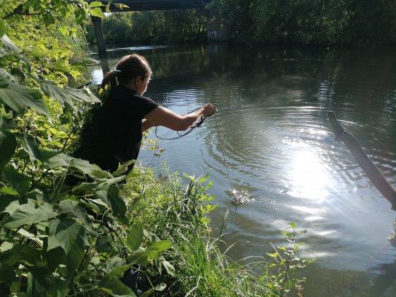 Выездное обследование Куйбышевского водохранилища